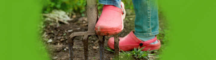 gartenclogs kategorieeinstiegsbanner